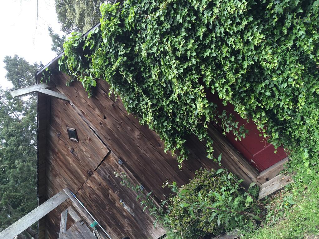 Mendocino Inn & Spa Little River Exterior foto